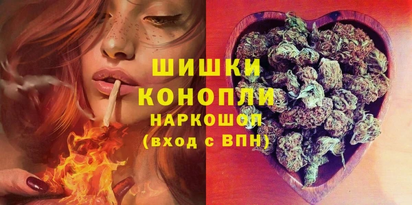 2c-b Гусиноозёрск