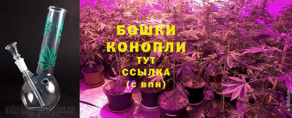 2c-b Гусиноозёрск