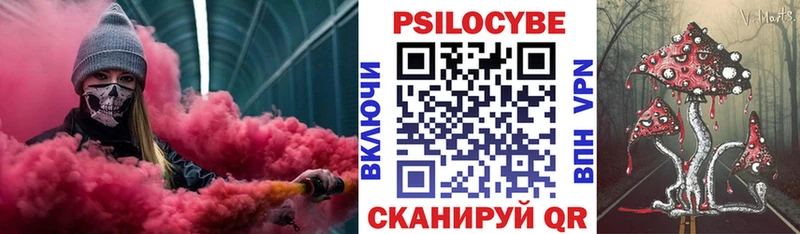 Купить где Новоузенск Псилоцибиновые грибы ЛСД